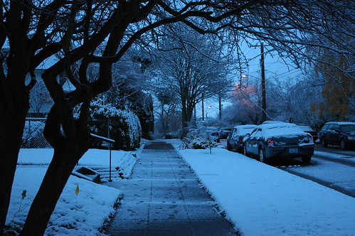House, neighborhood walk, trees with snow, Greenwood, Seattle, Washington, USA by Wonderlane