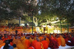 Highlights of the Annual Tipitaka Chanting Buddhagaya 2008
