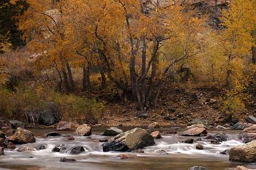 Fall on the Poudre River