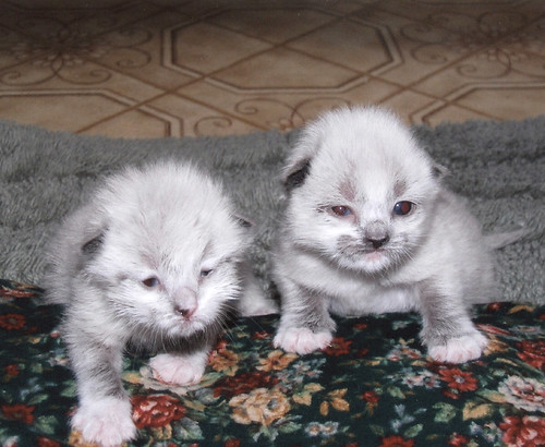 charlene (left) and her brother (right)