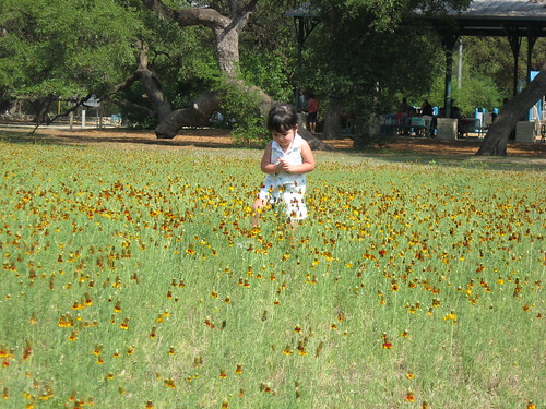 Rachel in the wildflowers