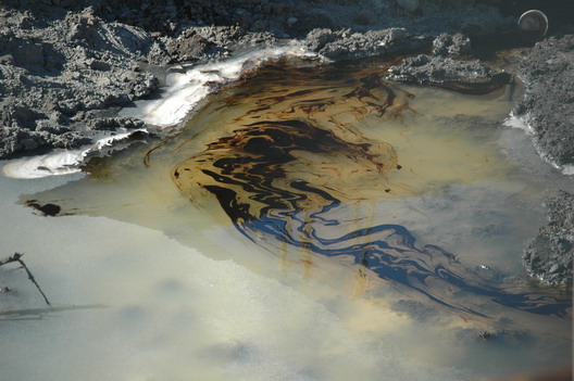 Roebling Oil Field Oil
