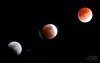 Sean O's Lunar Eclipse collage