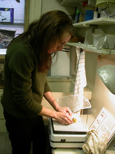 Judith Schaechter grinding glass
