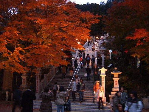 Oyama autumn