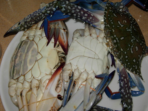 flower crabs