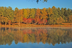 Furman Lake Colors