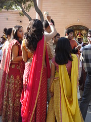 sari nation
