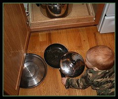 Frying Pan and Lids