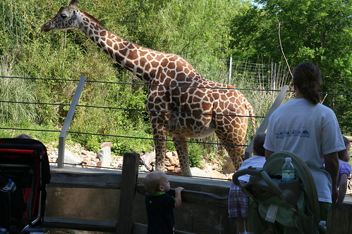 Birmingham Zoo Trip