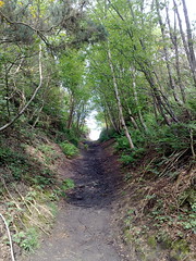 Path up to the Longstone