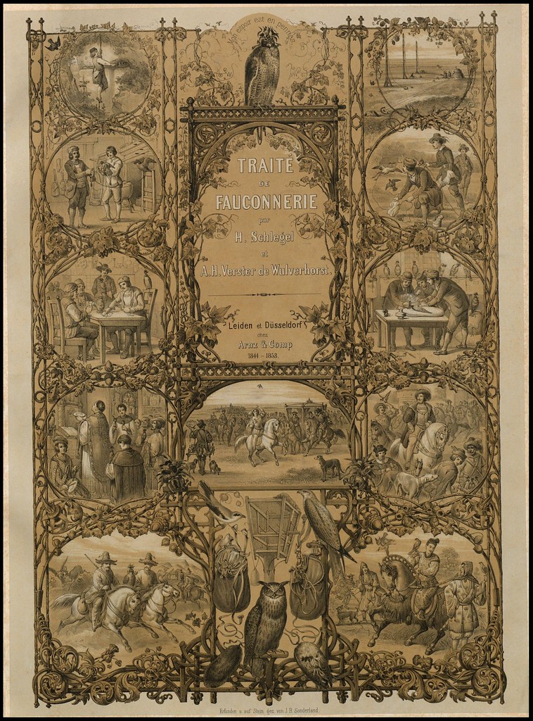 frontispiece / title-page of 'Traité de Fauconnerie' by H Schlegel, 1853