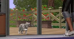 Sims 3 Pets 14