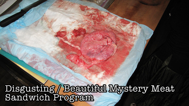 Disgusting / Beautiful Mystery Meat Sandwich Program