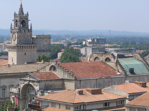 The Avignon city view