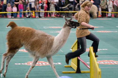 Human agility with llama included