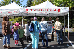 Bellevue Farmers Market Opening Day | Bellevue.com