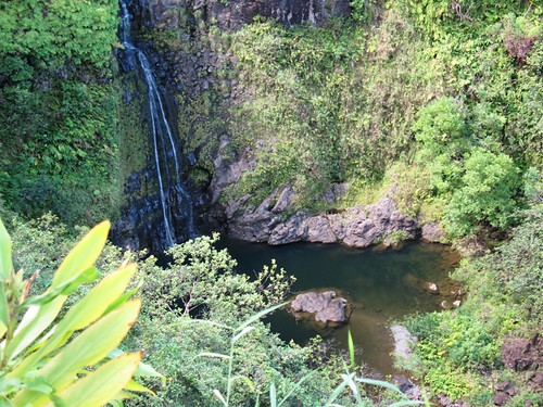 Hana Highway Waterfall 1