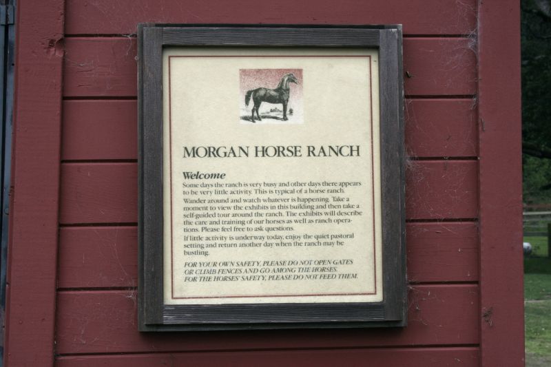 Morgan Horse Ranch
