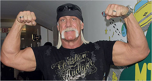 Hulk Hogan biceps