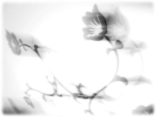 flower desktop wallpaper. IKEA flowers - a free desktop