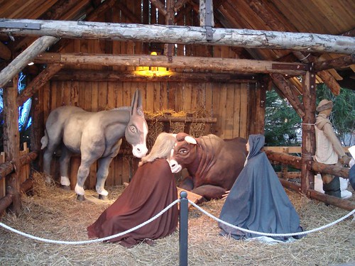 nativity scene2