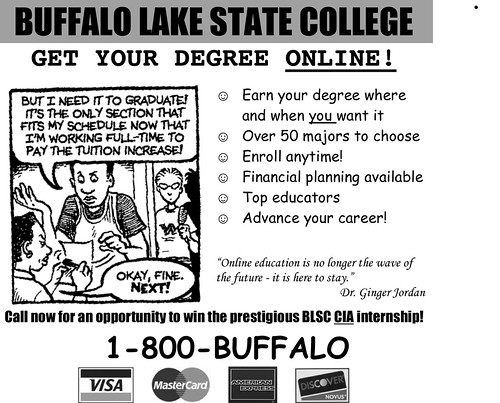 Microsoft Word - buffalo lake state.doc