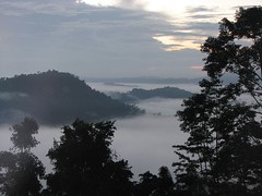 Sunrise in Danum Valley, Borneo