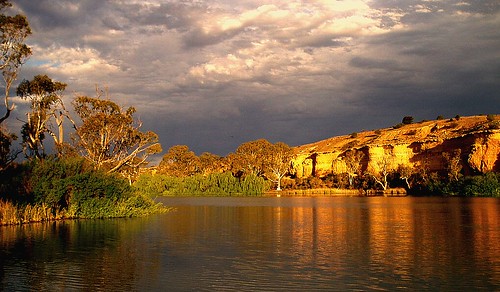 murray river australia