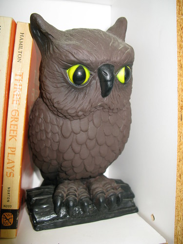 Book Barn owl