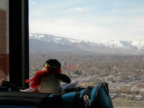 2008-04-02 Penguin in Reno