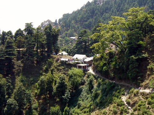 Paysage Dharamsala