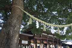 Tokyo - Meiji Shrine