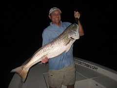 Chip with a monster Redfish