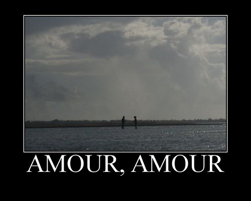AMour amour