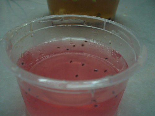 Red-pink jelly
