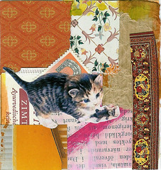 Kitten collage I