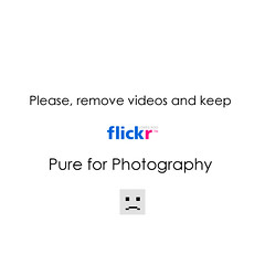 No videos on Flickr!!!