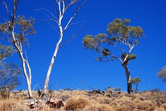 on the flanks of mount painter - link to my Arkaroola Sanctuary - would U mine it? set on flickr 