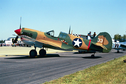 Warbird picture - Curtiss - P-40