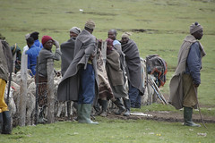 Lesotho shepherds