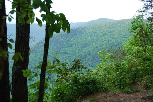 North Georgia Mountains