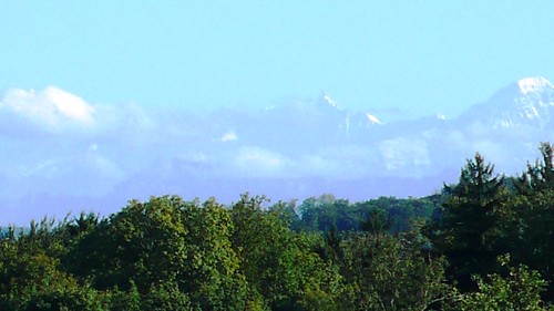 View of the Bernese Alps from Feldbrunnen