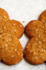 Ginger person cookie