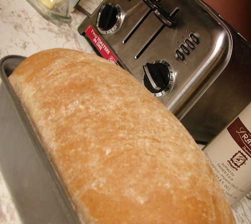 Light Wheat Bread 1