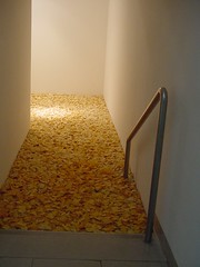Piscina de patatas fritas en el museo de arte moderno