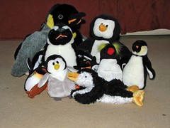 Penguinos!