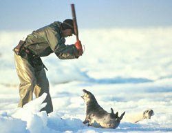is he a human being?he kill a baby seal.and he names himselfs sportsman