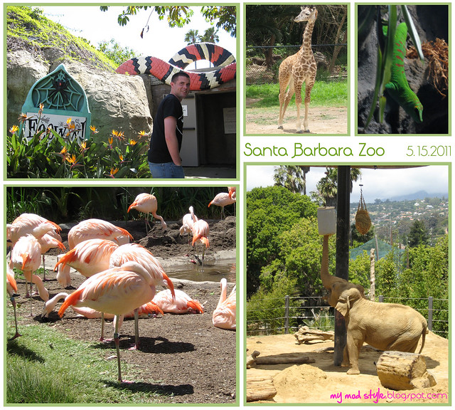 california sb zoo collage3