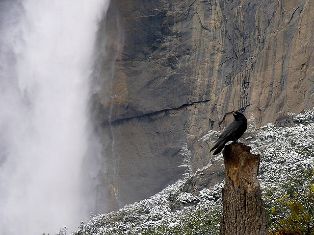 Keeping a Watchful Eye on Yosemite Falls
